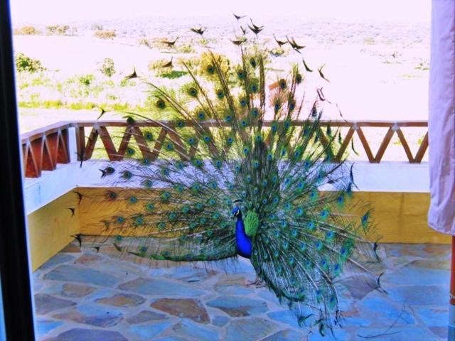 Naveterra-Hotel Rural อลันดรอล ภายนอก รูปภาพ