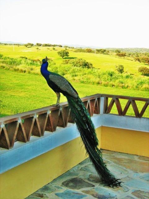 Naveterra-Hotel Rural อลันดรอล ภายนอก รูปภาพ