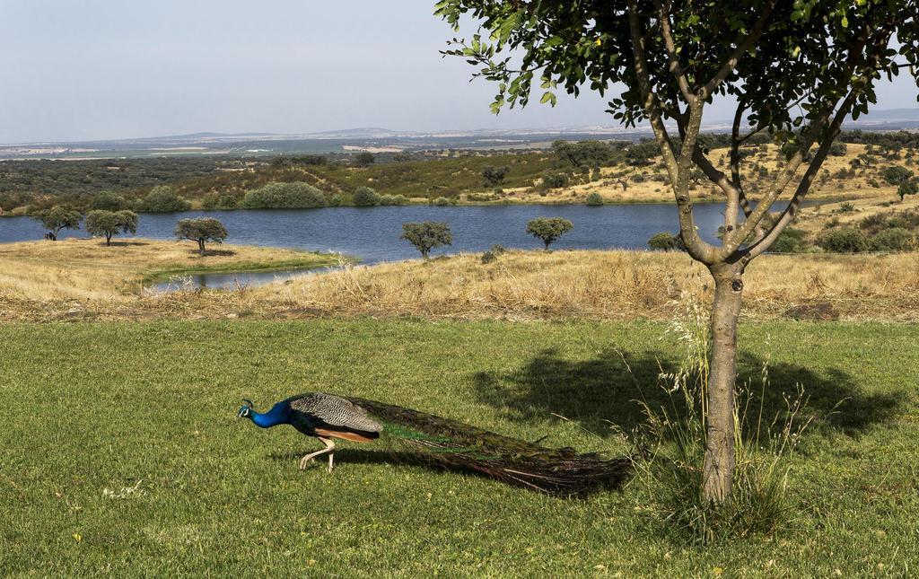 Naveterra-Hotel Rural อลันดรอล ภายนอก รูปภาพ