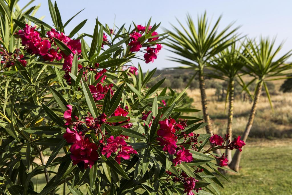 Naveterra-Hotel Rural อลันดรอล ภายนอก รูปภาพ